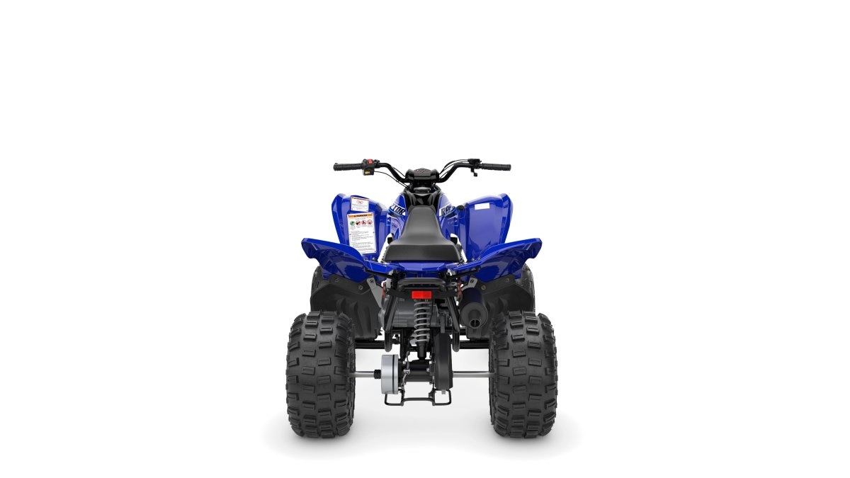 YFM110R RAPTOR 2026
