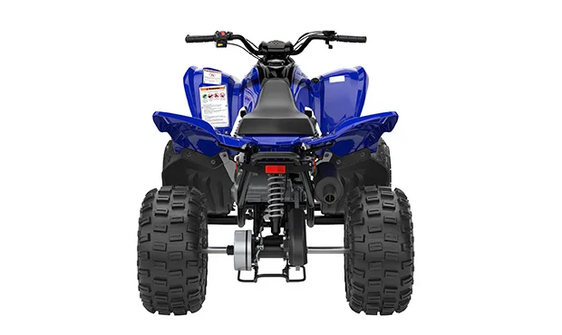 YFM110R RAPTOR 2024